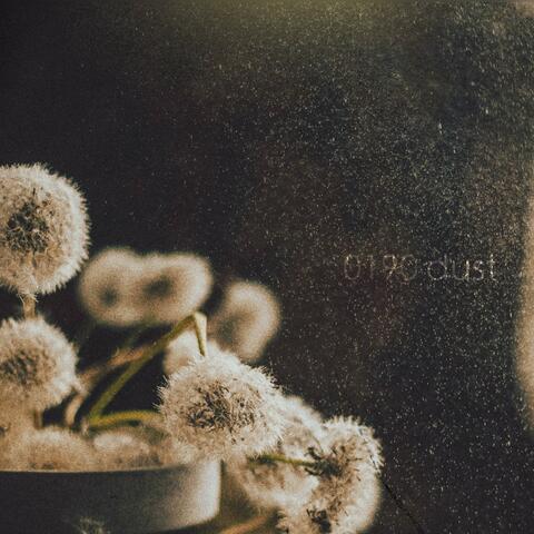 dust