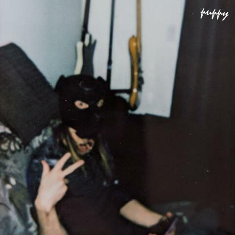 puppy