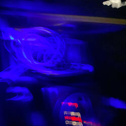 out my body (feat. Truso)