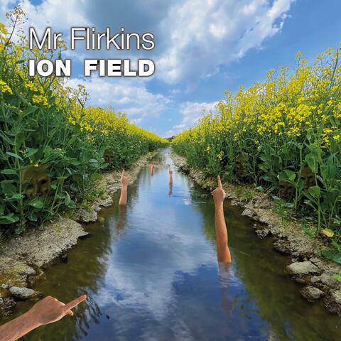 Ion Field