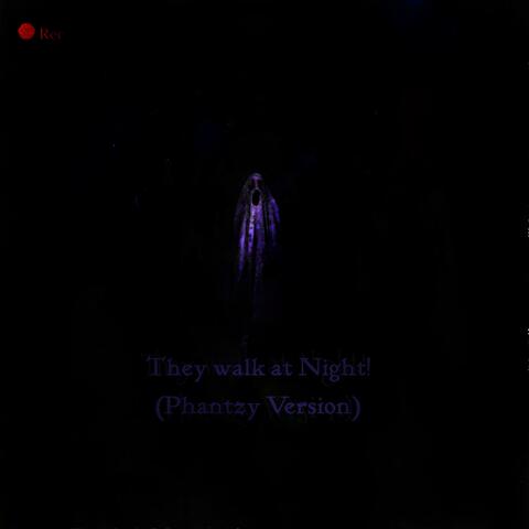 They walk at Night! (Phantzy Rec)