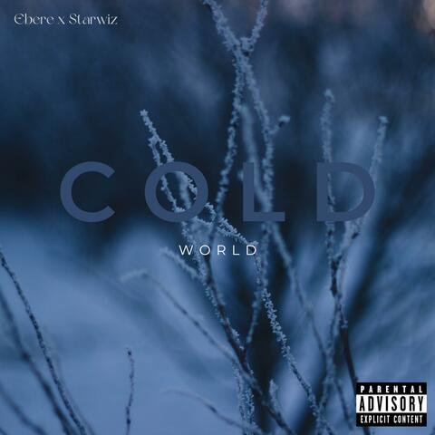 Cold World (feat. Starwiz) [Radio Edit]
