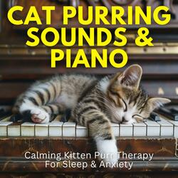 Cat Purring Sounds & Piano: Calming Kitten Purr Therapy For Sleep & Anxiety