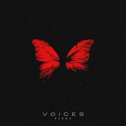 Voices (feat. discent)