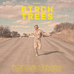 Birch Trees