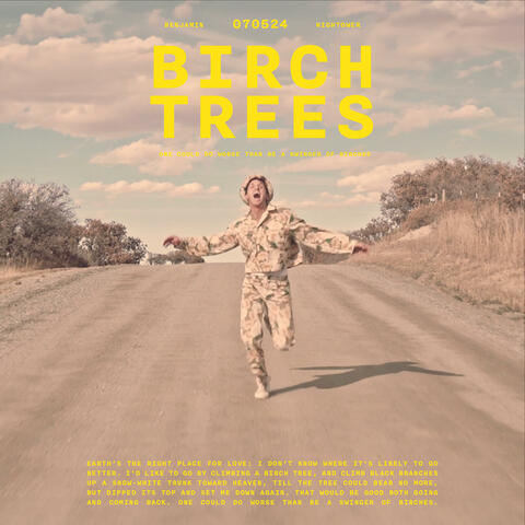Birch Trees