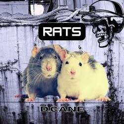 Rats