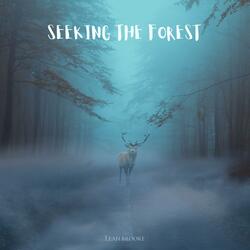 Seeking the Forest (Room Recording)