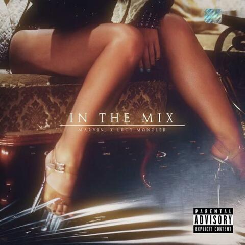 IN THE MIX (feat. Lucy Moncler)