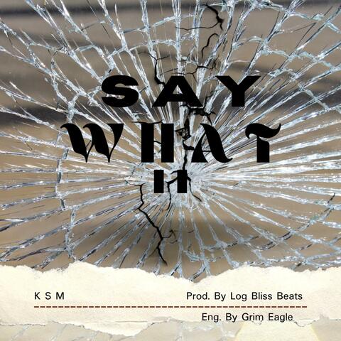 Say What II