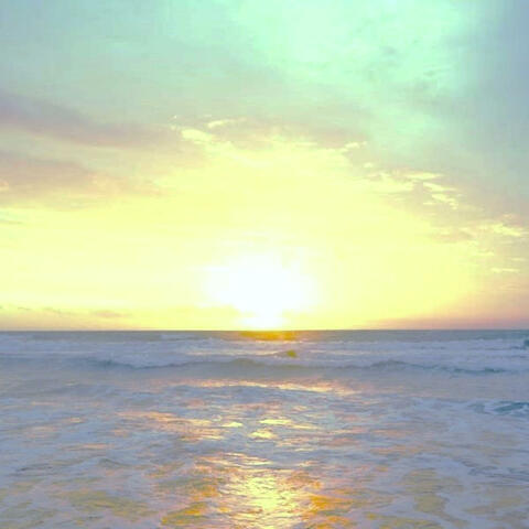 Sunspot Equilibrium