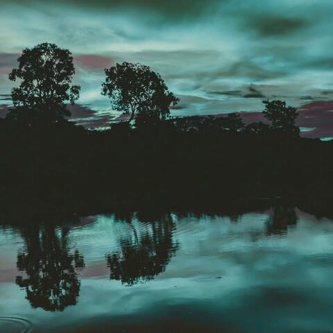 reflection
