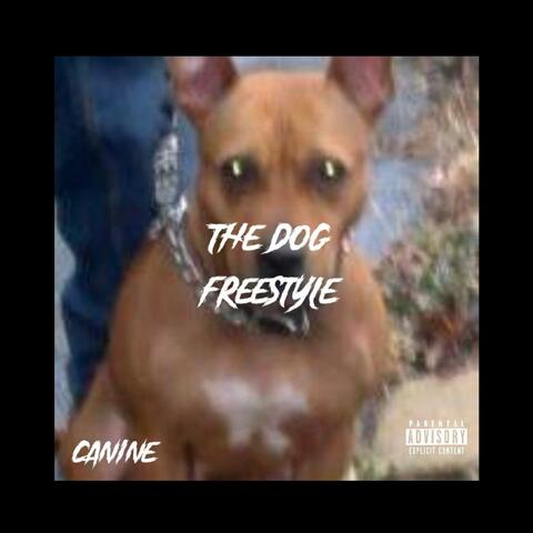 The Dog Freestyle