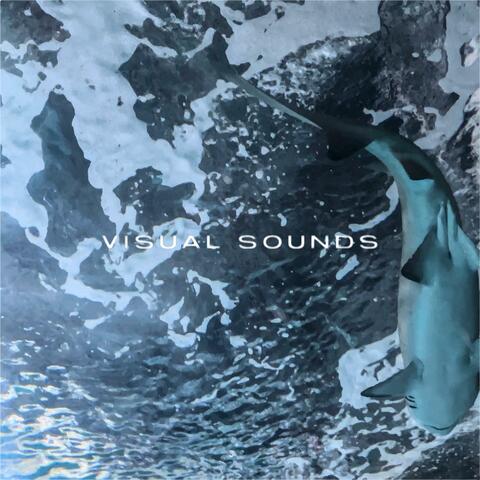 Visual Sounds