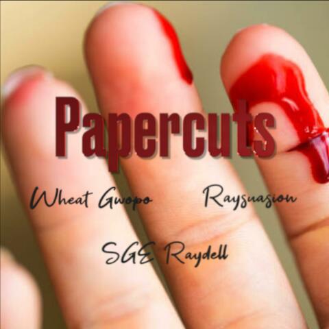Papercuts (feat. Raysuasion & SGE Raydell)