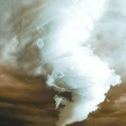 Whirlwind of thoughts