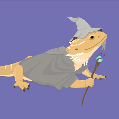 Bouncing Lizard