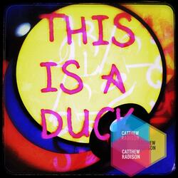 This is a Duck (_^,>,^_)