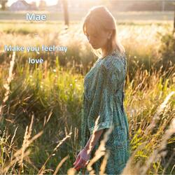 Make you feel my love