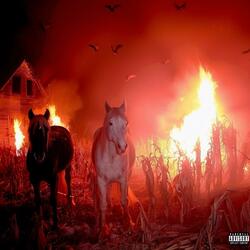 45 Horses