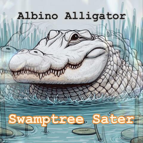 Albino Alligator