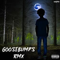 GOOSEBUMPS (Rmx)