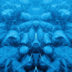 Perception