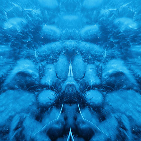 Perception