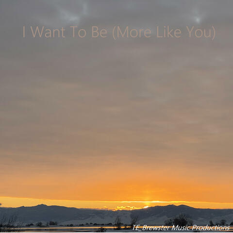 I Want To Be (More Like You)