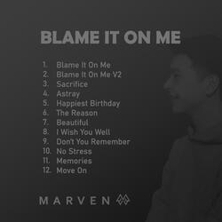 Blame It On Me V2