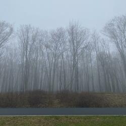 Time Is Running Too Fast