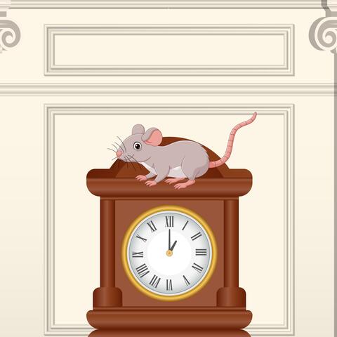 Hickory Dickory Dock