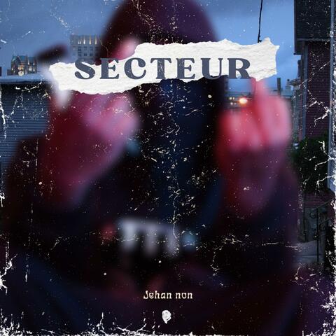 Secteur