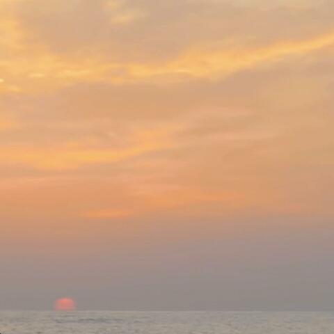 Whole new Day