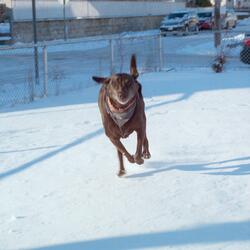 Internalized Compartmentalization