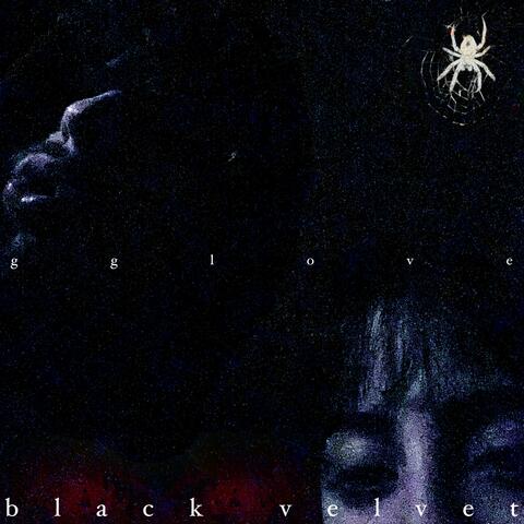 black velvet