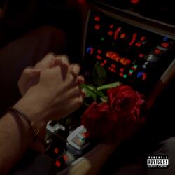 WON'T LOVE AGAIN