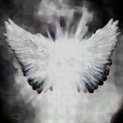 ascension to something