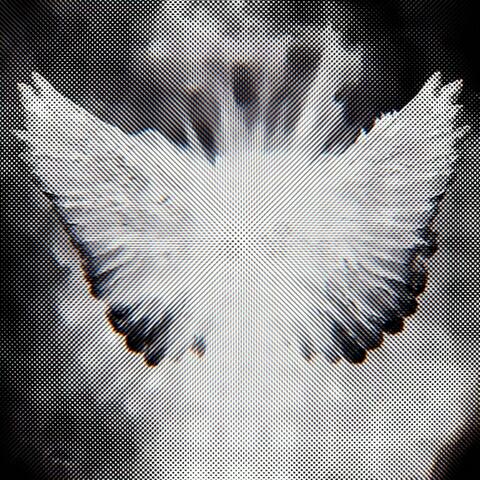 ascension to something