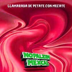Llamarada De Petate Con Mecate