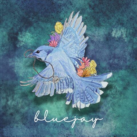 bluejay