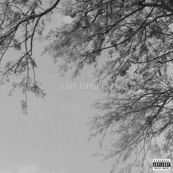 Safe