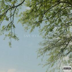 Safe
