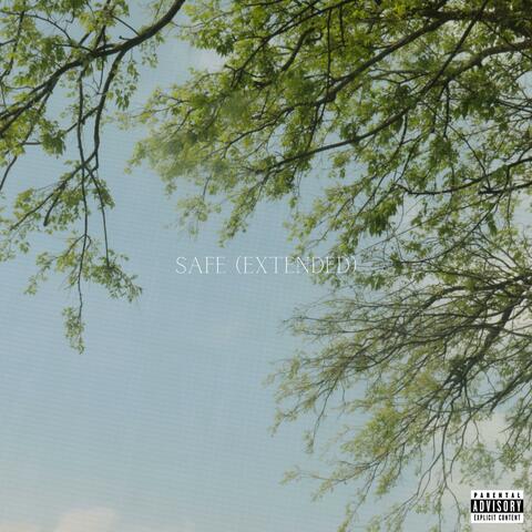 Safe (Extended Version)