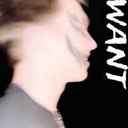 Want (feat. skah6)