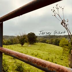Jersey Giant