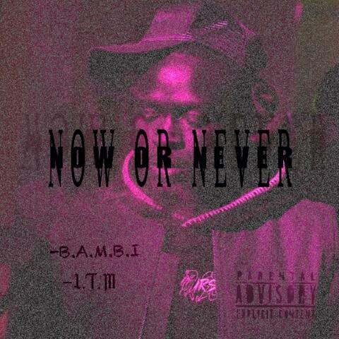 NOW OR NEVER