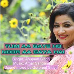 Tum Aa Gaye Ho Noor Aa Gaya Hai