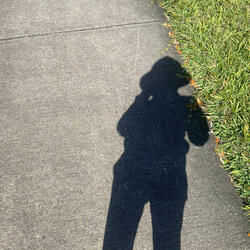 Breaking Stride