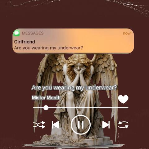 Are you wearing my underwear...